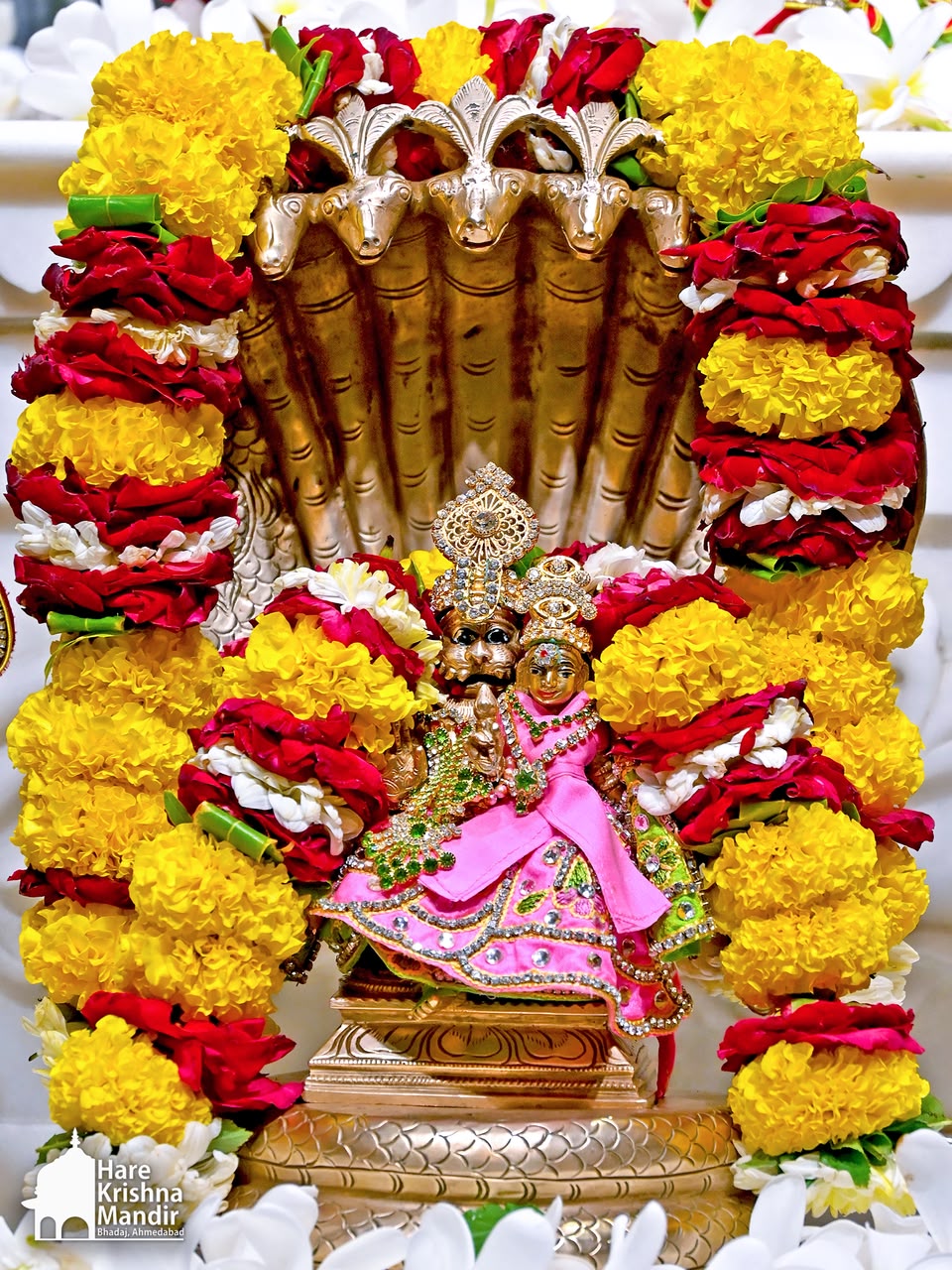 2026-07-11 Darshan